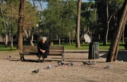 Alone Among the Birds - Jardin Borghese