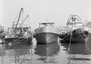 Fishing Boats Along the Golden Horn
