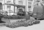 Reggio Calabria- Flower Truck