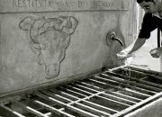 Fontana Della Buffalo