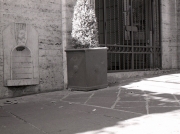 Fontana Di Cane - Via Veneto