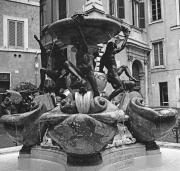 La Fontana Tartarughe In Piazza Mattei