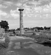 Colonna Di Paestum