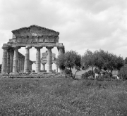 Paestum Tempio