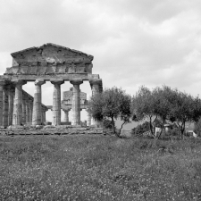 Paestum Tempio