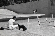 Cane Sulla Piscina Ara Pacis