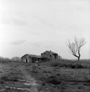 Casa Abbandato - Tor Di Valle